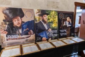 תמונה 9
